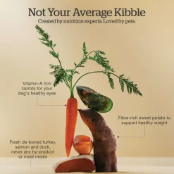 Grain-Free Turkey, Salmon & Duck Recipe Adult Dog Food