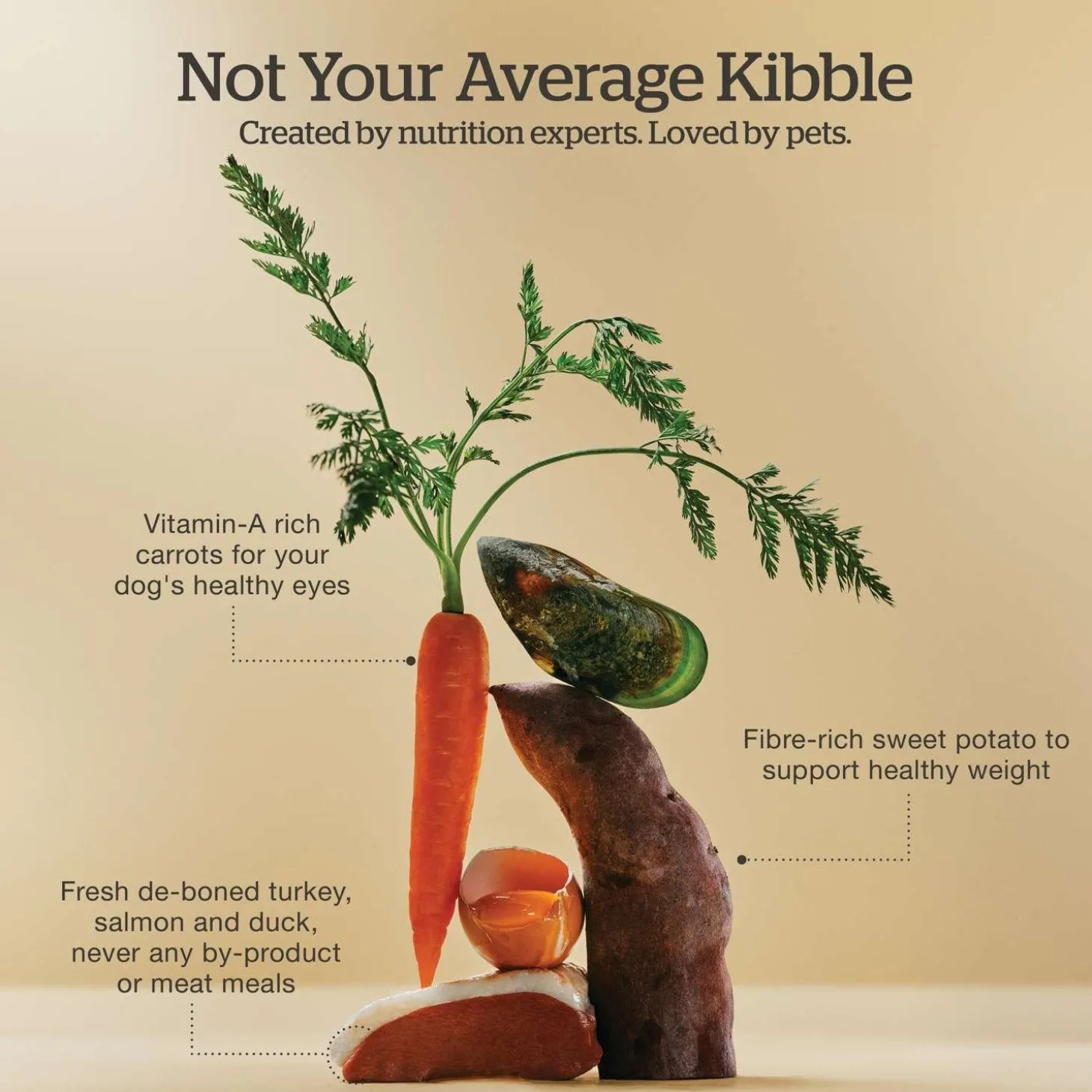 Grain-Free Turkey, Salmon & Duck Recipe Adult Dog Food