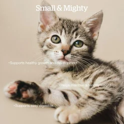 Grain-Free Turkey, Salmon & Duck Recipe Kitten Cat Food