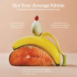 Grain-Free Turkey, Salmon & Duck Recipe Kitten Cat Food