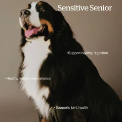 Grain-Free Turkey, Salmon & Duck Recipe Large Breed Senior Dog Food