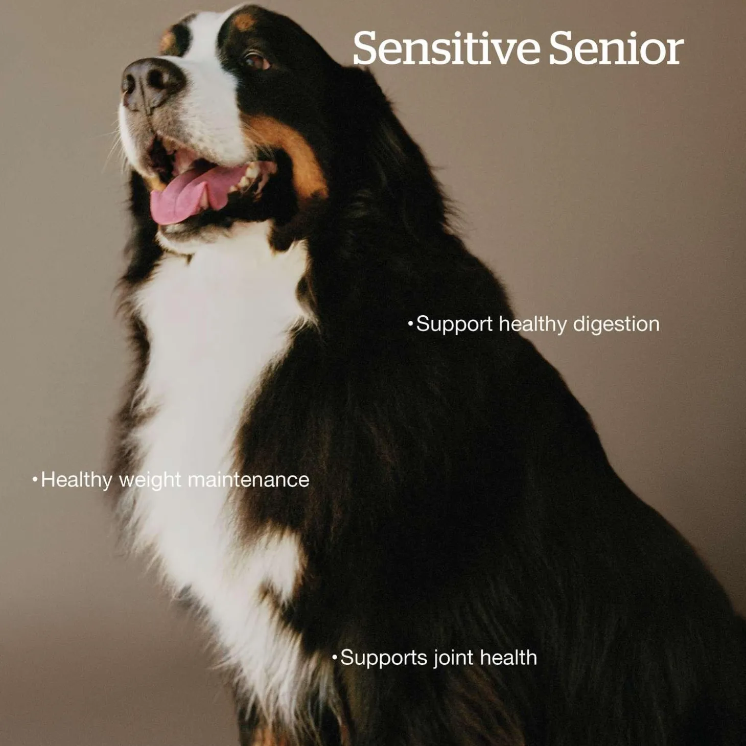 Grain-Free Turkey, Salmon & Duck Recipe Large Breed Senior Dog Food