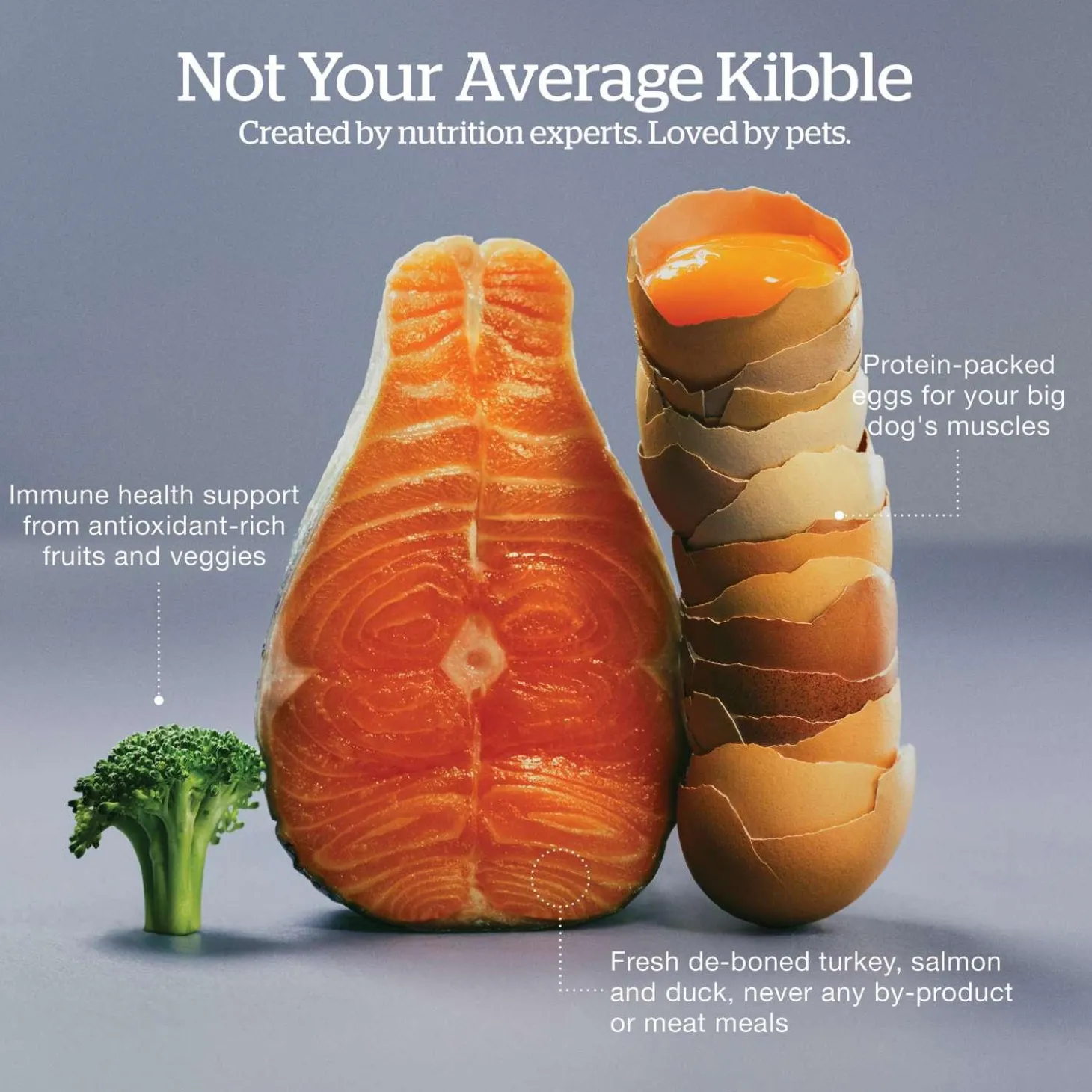 Grain-Free Turkey, Salmon & Duck Recipe Large Breed Senior Dog Food