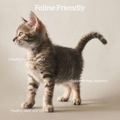 Grain-Free Turkey, Salmon & Duck Recipe Adult Cat Food