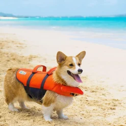 Granby Splash Orange Life Vest