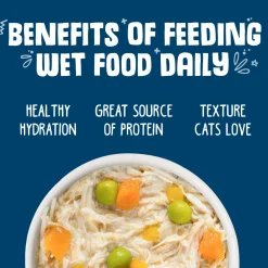 Grandma's Chicken Soup with Chicken & Pumpkin Adult Cat Food