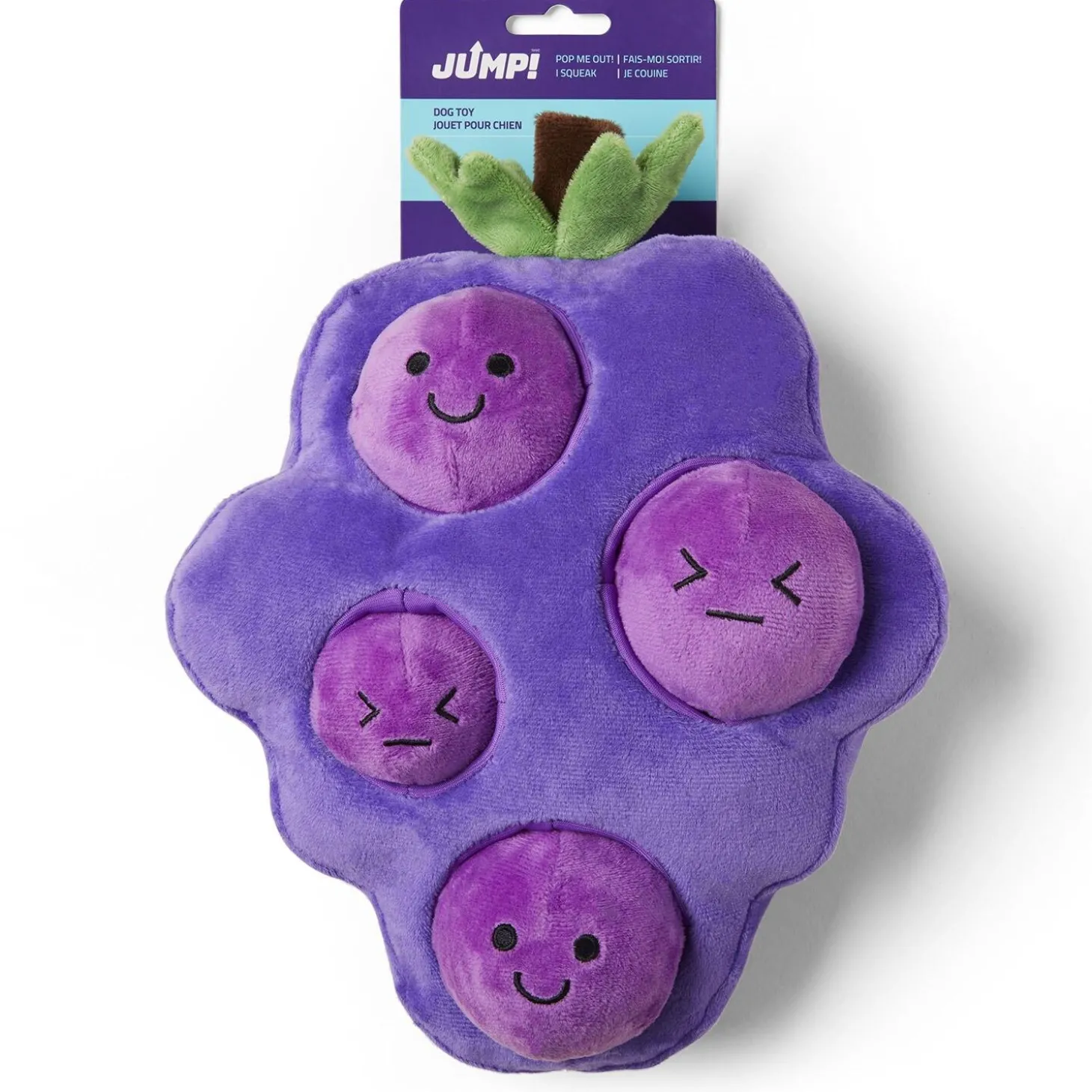 Grape Burrow Fruit Dog Toy