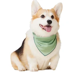 Green Cooling Bandana