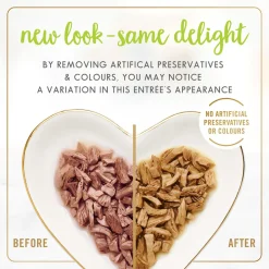 Grilled Salmon Feast Adult Cat Food