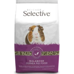 Guinea Pig Food