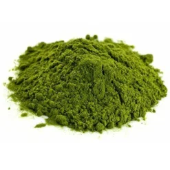 Gut Health+ with Slippery Elm Pet Supplement