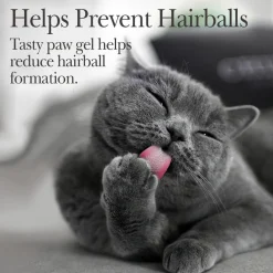 Hairball Chicken Flavoured Cat Paw-Gel