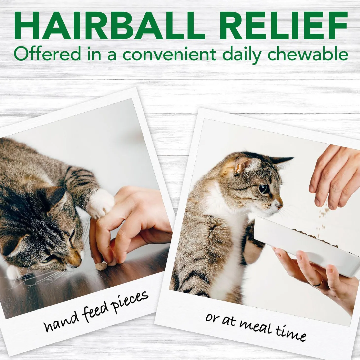Hairball Relief Digestive Aid Cat Supplement