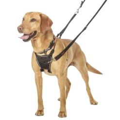 Halti No Pull Harness