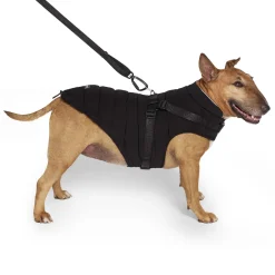 Harness Black Puffer Jacket