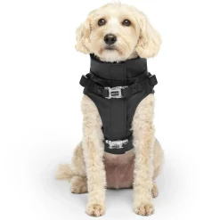 Harness Black Raincoat