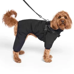 Harness Black Snowsuit