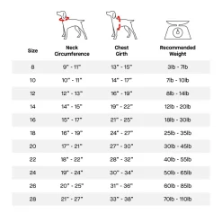 Harness Black Snowsuit