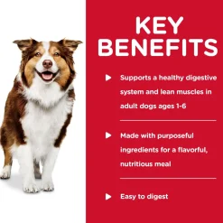 Healthy Cuisine Braised Beef, Carrots & Peas Stew Adult Dog Food