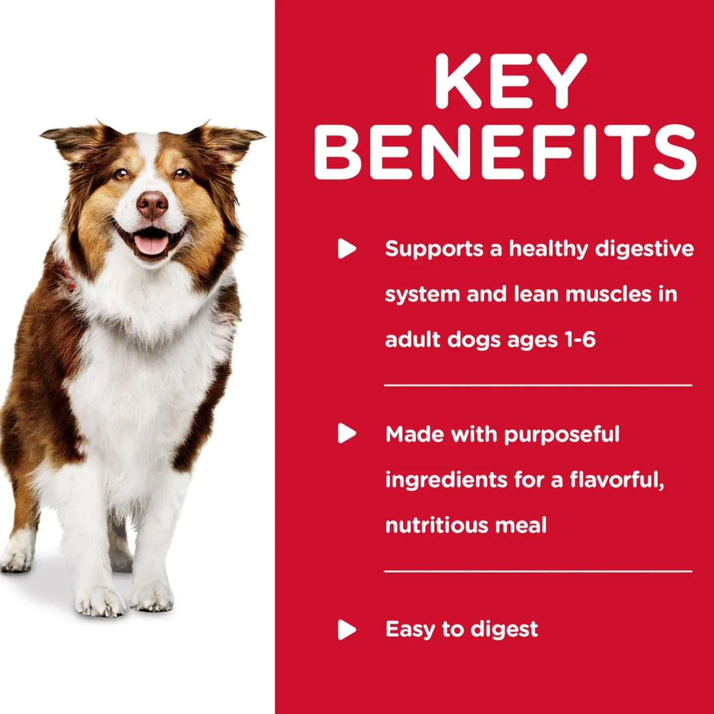 Healthy Cuisine Braised Beef, Carrots & Peas Stew Adult Dog Food