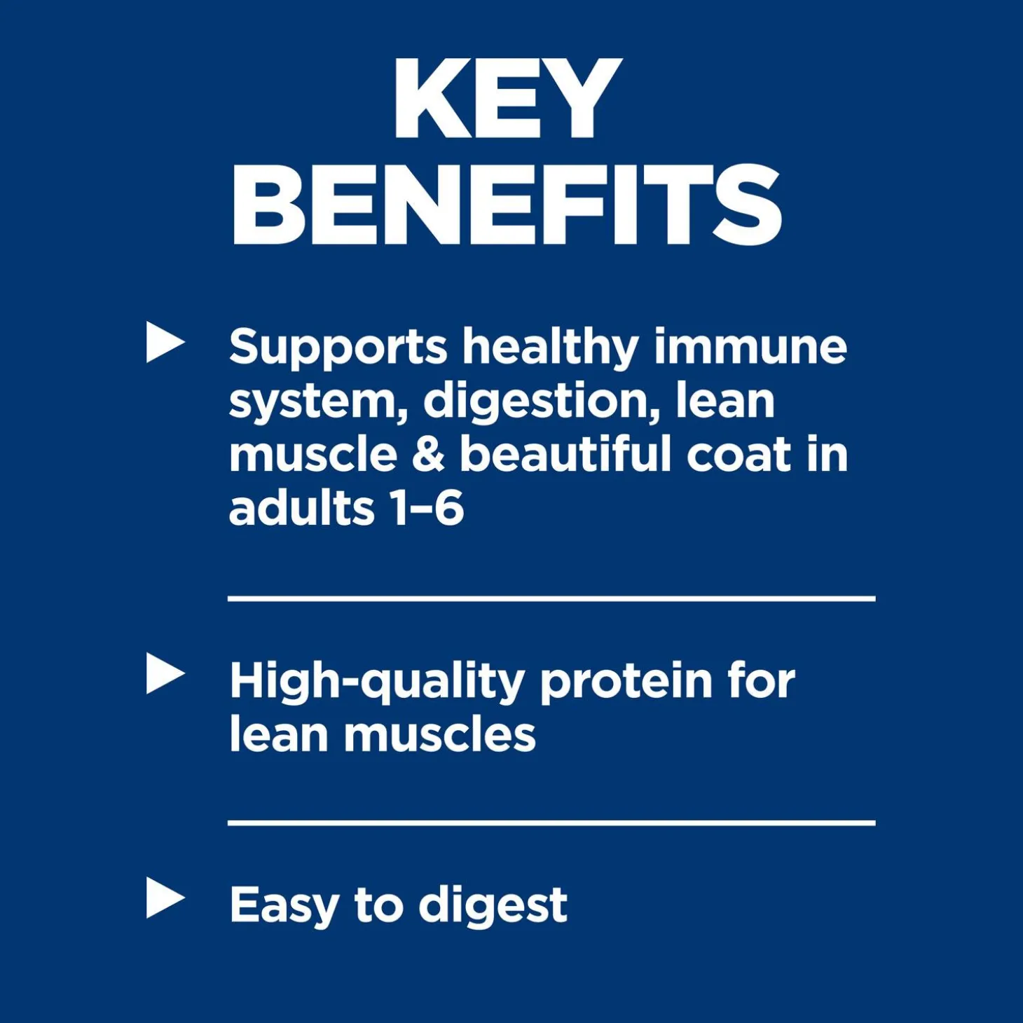 Healthy Cuisine Chicken & Vegetables Stew Adult Dog Food