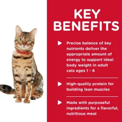 Healthy Cuisine Roasted Chicken & Rice Medley Adult Cat Food