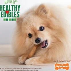 Healthy Edibles Roast Beef Flavour Petite Dog Treats