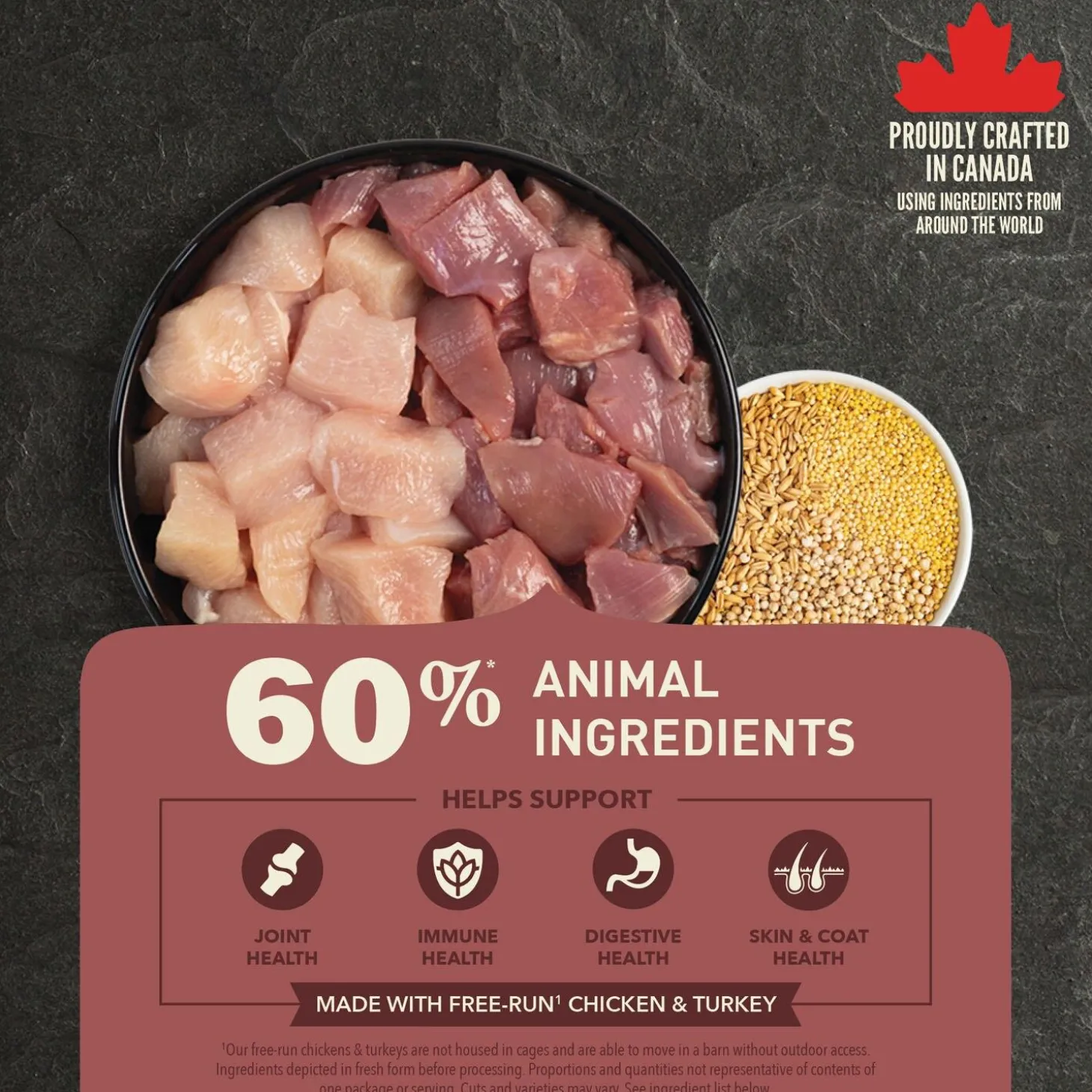 Healthy Grains Recipe Large Breed Adult Dog Food