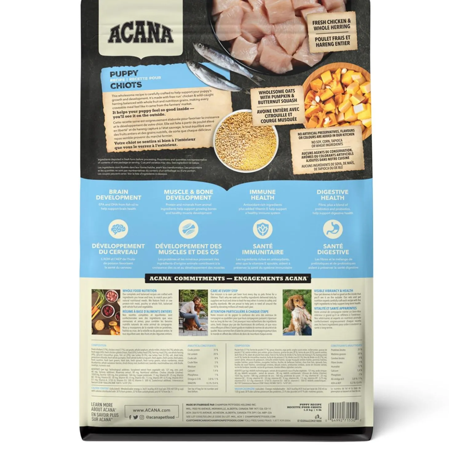 Healthy Grains Recipe Puppy Dog Food