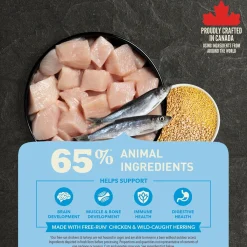 Healthy Grains Recipe Puppy Dog Food