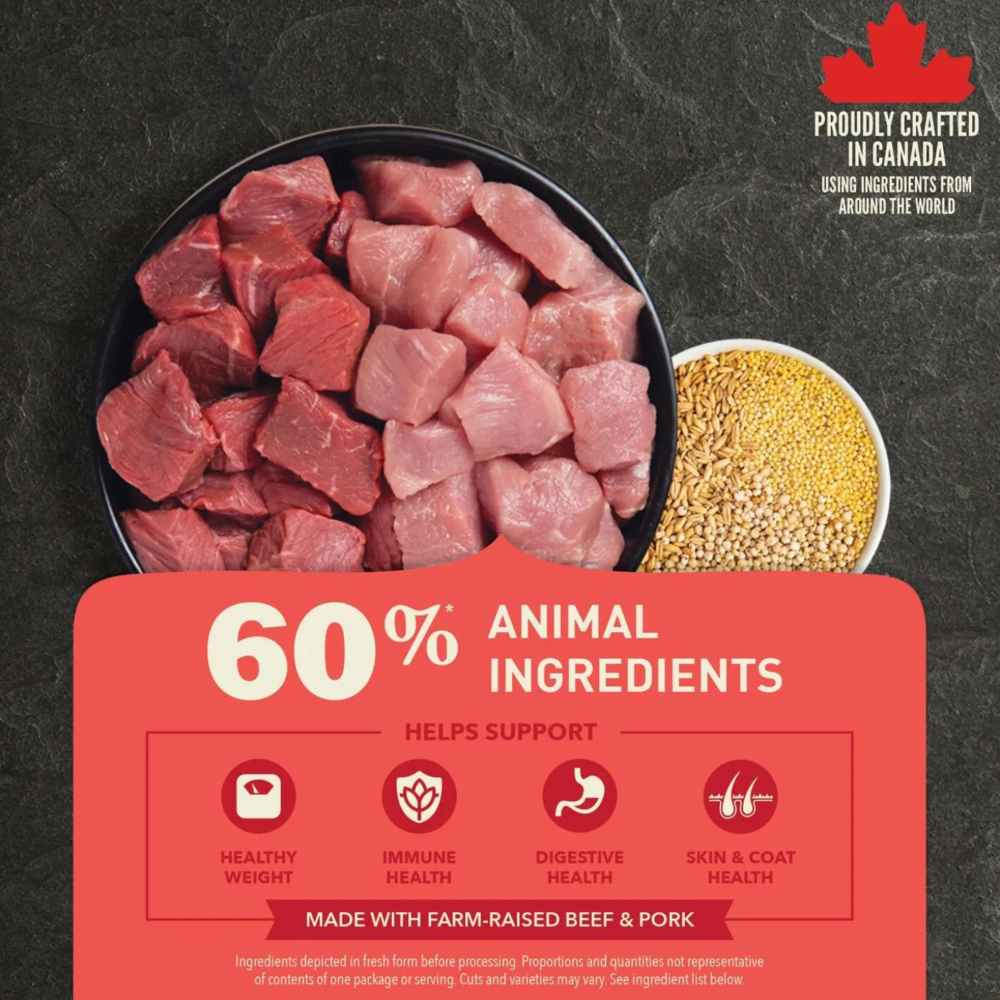 Healthy Grains Red Meat Recipe Adult Dog Food