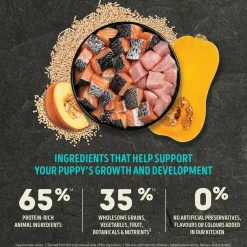 Healthy Grains Sea & Farm Recipe Puppy Dog Food