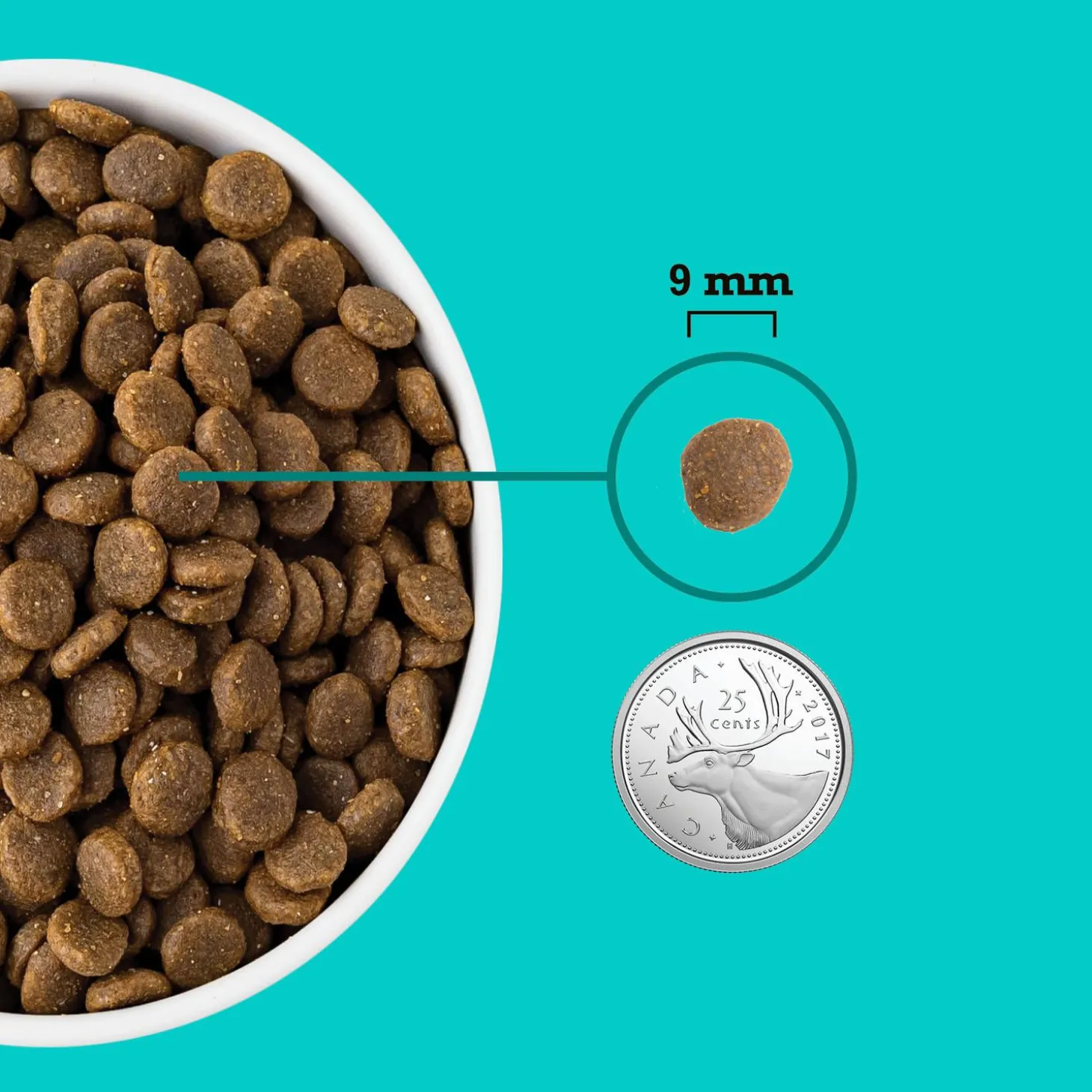 Healthy Grains Sea & Farm Recipe Puppy Dog Food