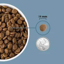 Healthy Grains Sea to Stream Recipe Adult Dog Food