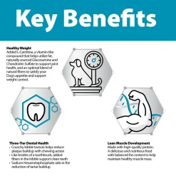 Healthy Weight Chicken & Rice Formula Adult Dog Food