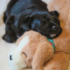 Heartbeat Replacement for Dog Toy