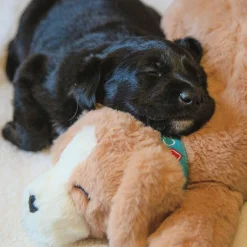 Heat Pack Replacement for Dog Toy