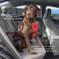Heavy Duty Swivel Seatbelt Tether for Dogs