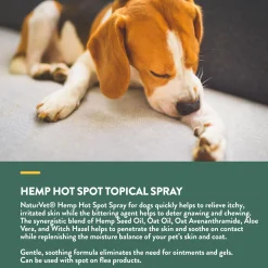 Hemp Hot Spot Aloe Vera Dog Spray