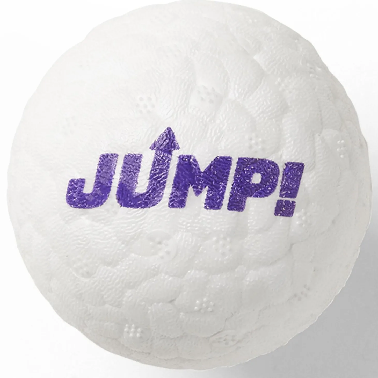 Hi Bounce Ball Dog Toy