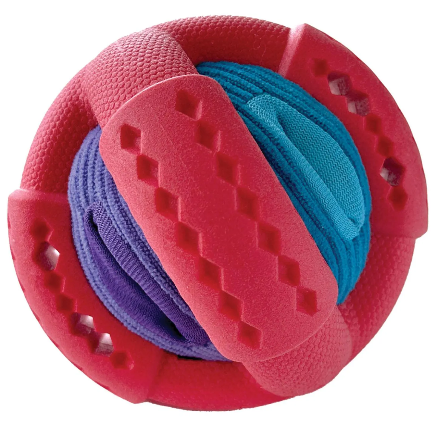 Hide 'n Seek Orbie Dog Toy