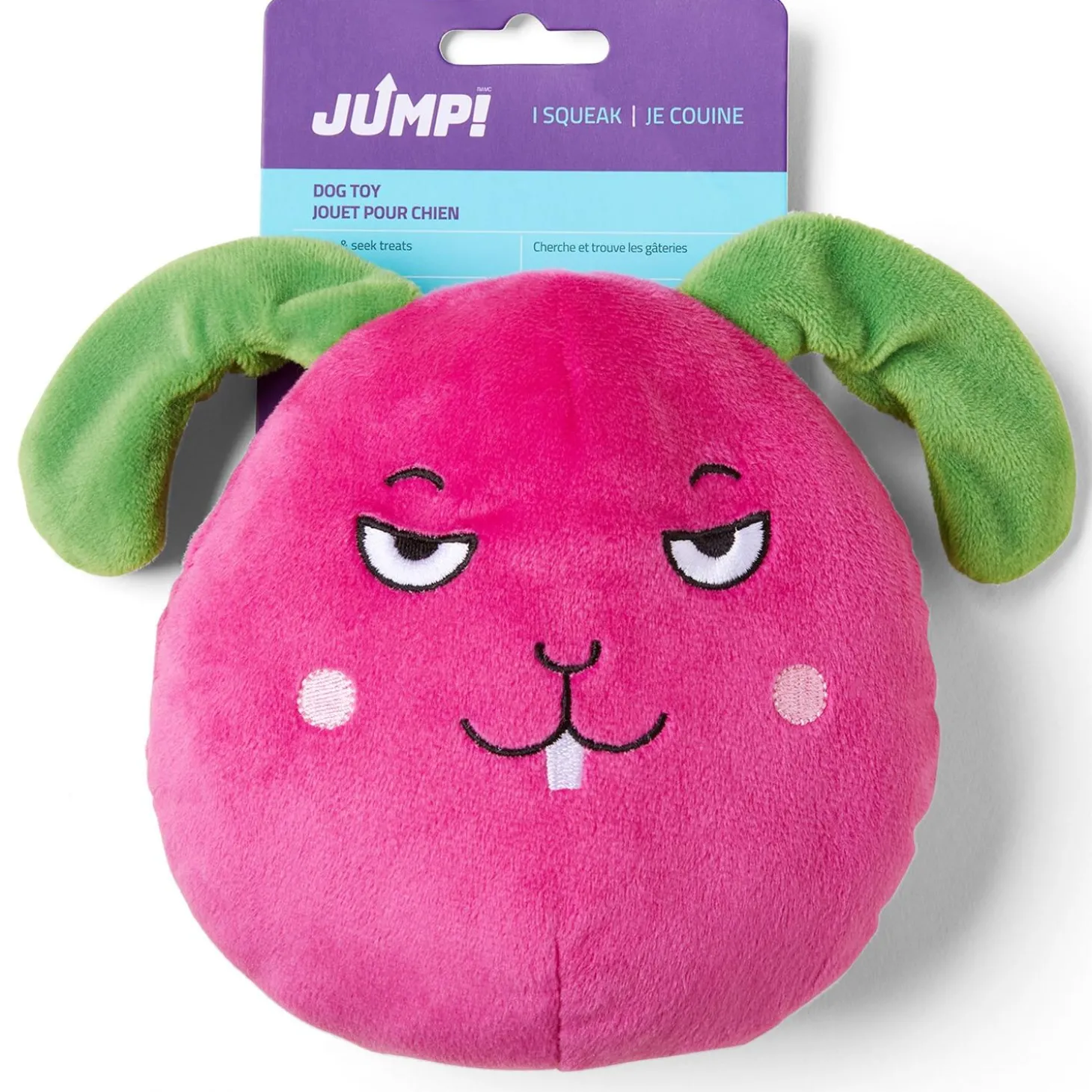 Hide n Seek Raddish Dog Toy