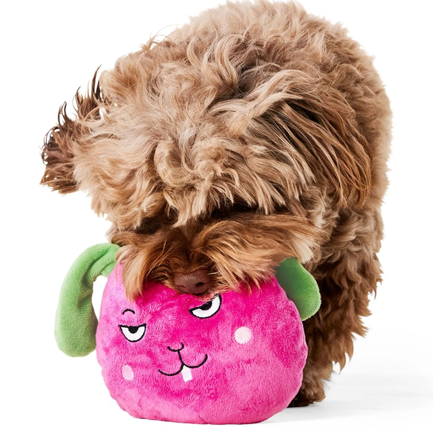 Hide n Seek Raddish Dog Toy