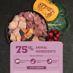 Highest Protein Free-Run Chicken, Turkey & Salmon Kitten Cat Food