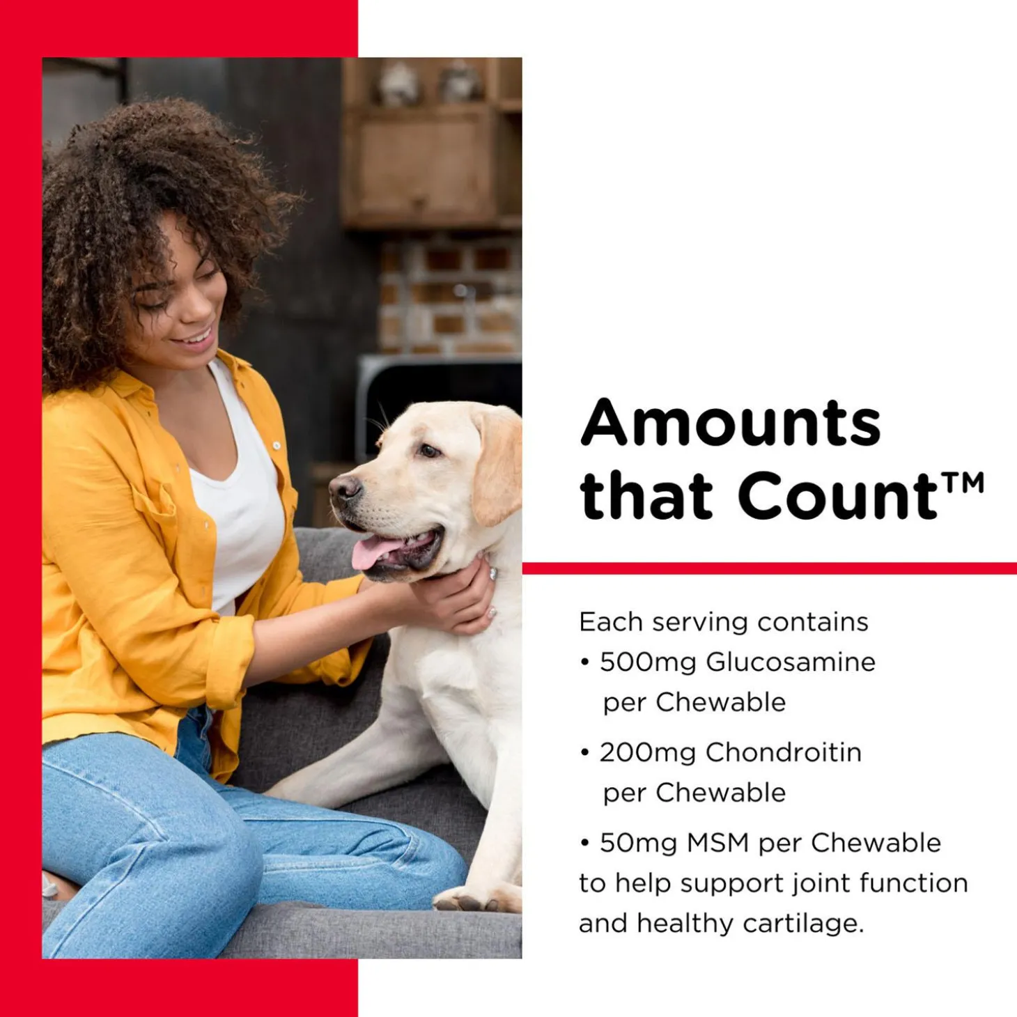 Hip & Joint Extra Strength Liver Flavoured Dog Supplements