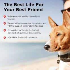 Hip & Joint Extra Strength Liver Flavoured Dog Supplements