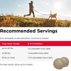 Hip & Joint Extra Strength Liver Flavoured Dog Supplements