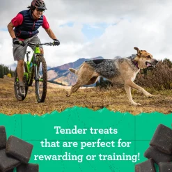 Hip & Joint Peanut Butter & Oats Recipe Dog Treats