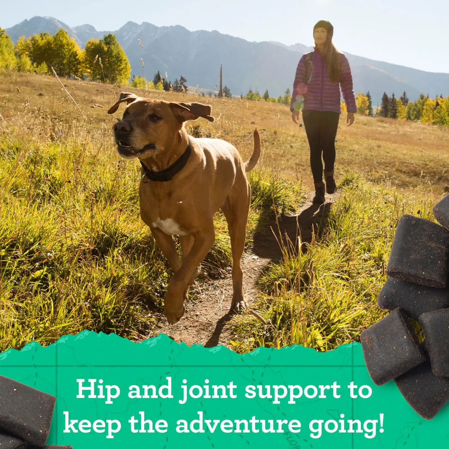 Hip & Joint Peanut Butter & Oats Recipe Dog Treats