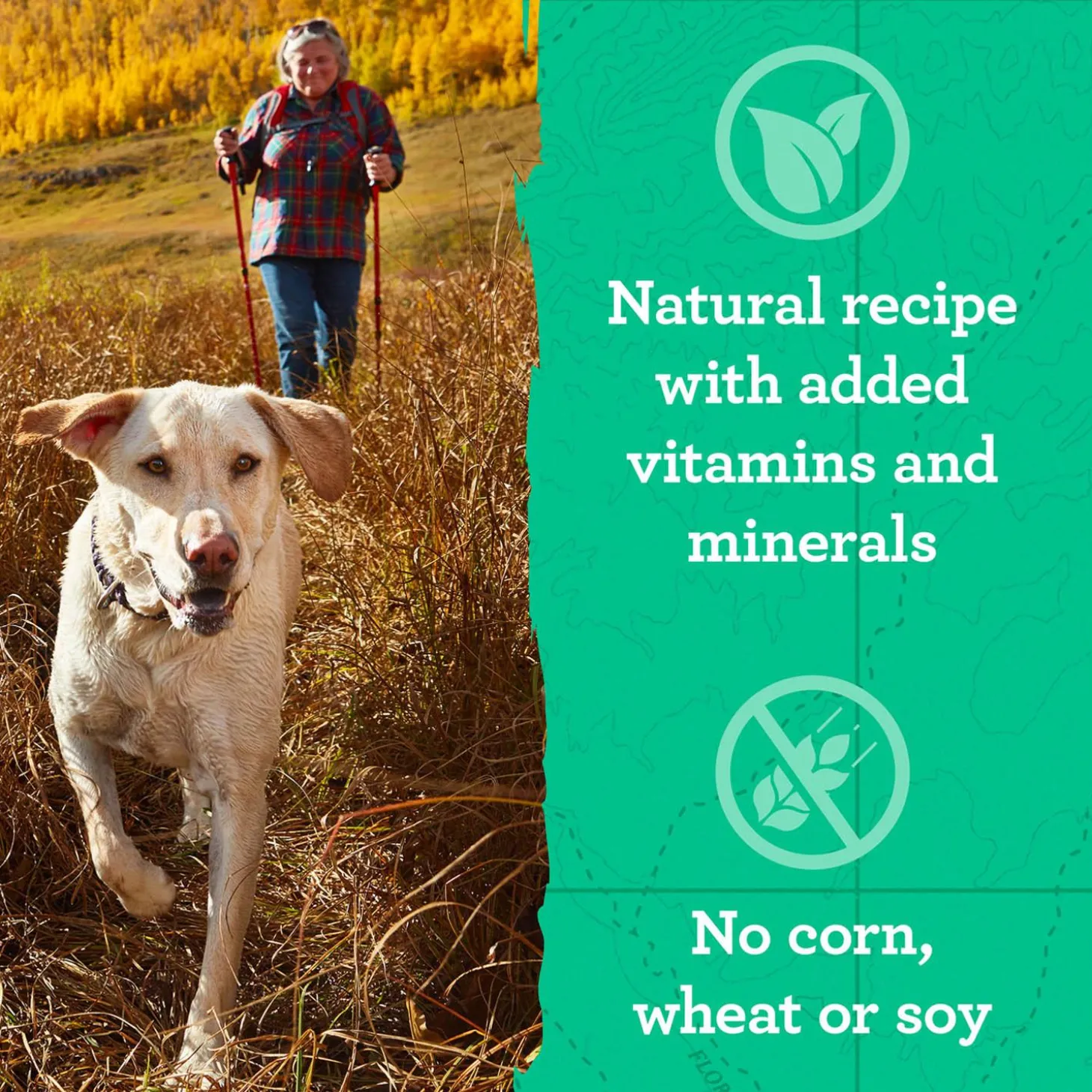 Hip & Joint Peanut Butter & Oats Recipe Dog Treats